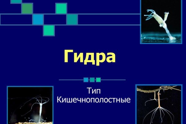 Kraken onion открытые зеркала