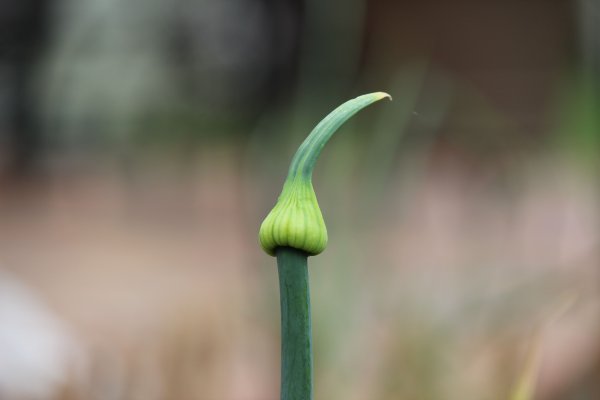 Кракен сайт оригинал kraken ssylka onion