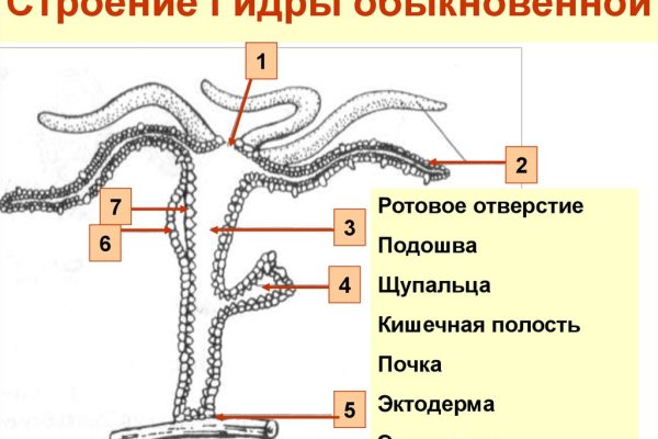 Наркошоп кракен