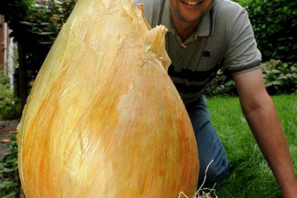 Кракен сайт официальный ссылка зеркало kramp.cc