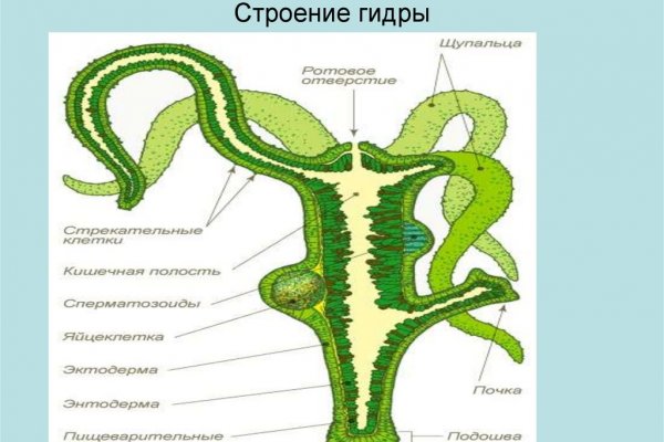 Сайт наркотиков тор