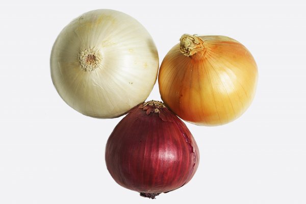 Hidra onion