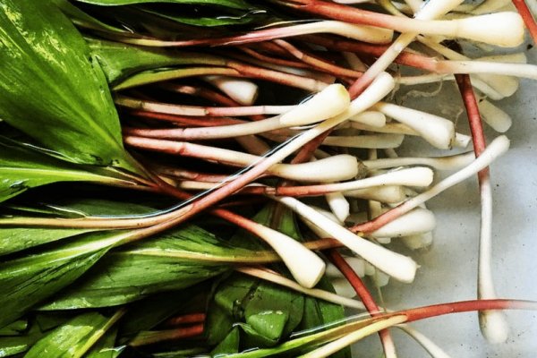 Ссылки на сайты onion