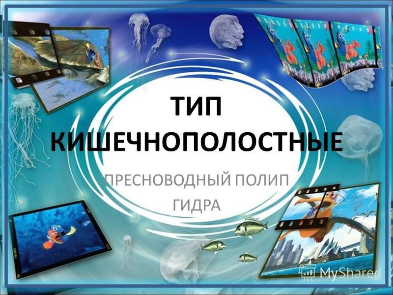 Kraken зеркало ссылка